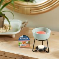 Yankee Candle The Last Paradise Wax Melt Extra Image 1 Preview
